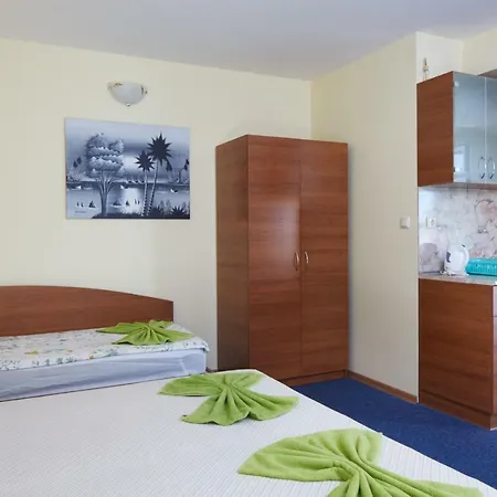 Guest house Plechkarovi Ravda