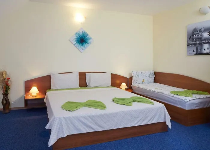 Plechkarovi Casa de hóspedes 3*